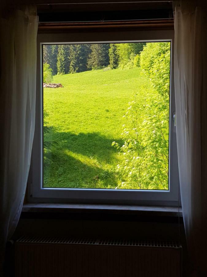 Ferienhaus Lyhs Fehrenbach Buitenkant foto